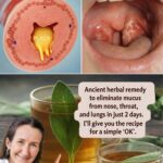 Cardiologist WARNS: NEVER Take B12 With THESE 2 Common Medications After 60!