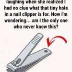 These ideas are amazing
