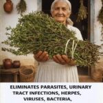 The Little White Box in Your Pantry: 13 Everyday Baking Soda Ideas for Natural Beauty, Comfort, and Home Freshness