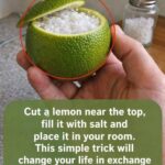 The vegetable that eats all the sugar in the body. It’s the formidable enemy of diabetes.
