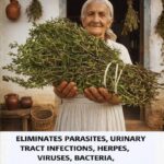 THIS burns weeds in 1 day! They NEVER grow again