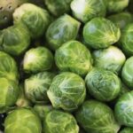 Living with rheumatoid arthritis: daily challenges