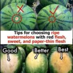 Bleach stains on your clothes? No need to throw them away: here’s the solution.