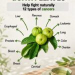 The 8 best fruits to naturally dissolve blood clots