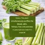 The Real Causes of Constant Phlegm and Mucus in Throat and How to Get Rid of It!