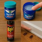 Homemade Night Cream for Glowing Skin Realistic Version
