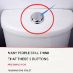 10 Things You Shouldn’t Be Storing on Your Kitchen Countertop (1st comment)