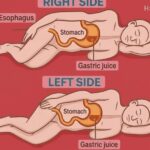 NEVER use magnesium if you are taking any of the following m…
