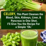 17 signs of kidney trouble you can see—don’t ignore #3!