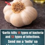 How to make a super effective homemade herbicide