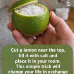 “Put 4 drops in your ear and you will hear like new again!