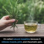 What does the color of your urine say about your health?