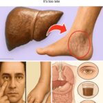 DID YOU KNOW? If hair grows on your ears, it’s because your body