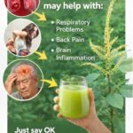 15 Possible Atorvastatin Side Effects Some People Experience and Tips to Discuss With Your Doctor