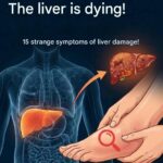 Taking Atorvastatin: What You Really Need to Know About Side Effects and Safe Use