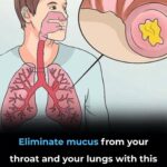 How To Clean a Fan Without Taking It Apart This trick will surprise you
