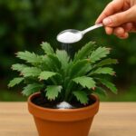 Even just one spoonful a day is enough! It lowers bad cholesterol, cleans arteries, regulates blood sugar, and even suppresses hunger.