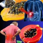 Top 10 foods to heal knee pain and boost cartilage