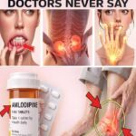 Top 10 Superfoods to Help Stop Proteinuria Fast and Support Kidney Recovery Quickly