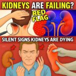 A month before a stroke, your body warns you: 10 signs not to ignore