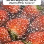 Metoprolol: The Good, The Bad, and The UGLY – Your No-BS Guide to 10 Common Side Effects