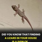 Tiny White Spots on Your Arms or Legs Could Be a Sign of…