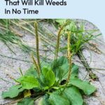 The Real Causes of Constant Phlegm and Mucus in Throat and How to Get Rid of It