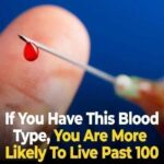 8 strange signs your body is screaming for vitamin B12 after 70 – ignore them and your brain pays!…