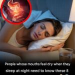 6 trigger foods that cause agonizing pain if you have neuropathy