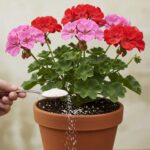 Natural Herbs That May Support Urinary & Digestive Health (Backed by Science)