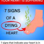 Brittle or weak nails may signal… see more