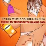 THE MOST POTENT HERB THAT DESTROYS PARASITES, URINARY TRACT …
