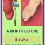 5 Symptoms of a Mini Stroke in Seniors That Shouldn’t Be Ignored