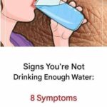 10 Early Signs of Dementia You Should NEVER Ignore!….