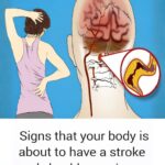 Top 10 foods that improve blood circulation in legs