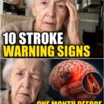 The #1 vitamin that could stop dementia and boost your longevity!