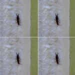 The “small round hole” on the nail clipper has special and powerful uses!!