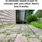 These are the first symptoms of a… See more