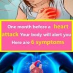 Atorvastatin Side Effects: 15 Potential Risks Your Doctor Might Not Always Highlight