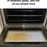 When a lizard enters your house, here’s what it means…