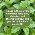 The vegetable that eats all the sugar in the body. It’s the formidable enemy of diabetes. Check 1s comment