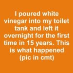 NEVER use magnesium if you are taking any of the following m…