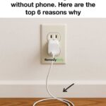 ALERT These are the signs that it is cre…See more