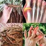 4 types of people who should avoid eating cabbage