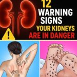 One vitamin that opens blood vessels and improves circulation