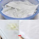 How to Make a Super-Effective Homemade Herbicide