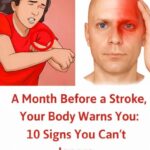 # Learn How to Clean 15 Kilograms of Waste from Your Colon in One Night