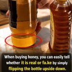Take 2 Tablespoons of This for Digestion? Here’s What the Evidence Really Says