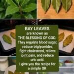 THESE SEEDS DESTROY EVEN THE DEADLIEST DISEASE