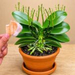 How to Naturally Clean Bathroom Tiles with Ingredients from Your Kitchen